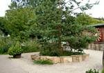 Tropical Butterfly House, North Anston, Sheffield