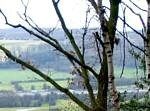 The Parkway, from Duke of Norfolk Estate, Rotherham