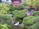 Japanese Tea Garden