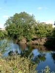 River Don from Don Street