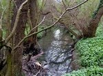 Roche Abbey, Maltby, Rotherham