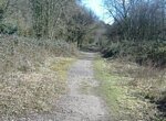 Roche Abbey Valley