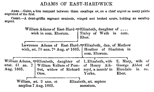 Pedigree of Adams of East Hardwick, Pontefract