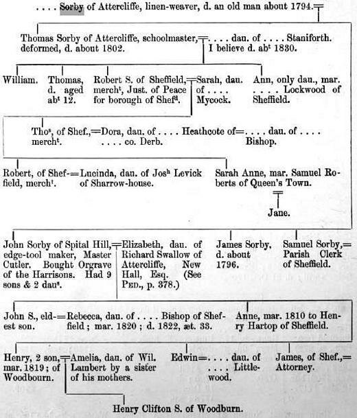 Sorby Pedigree