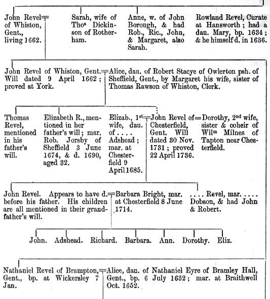 Pedigree of Revel of Treeton, Whiston, Brampton