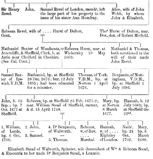 Pedigree of Revel