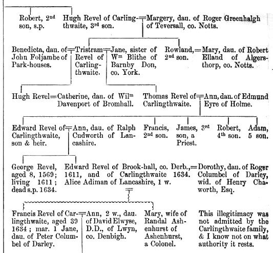 Pedigree of Revel, MS174