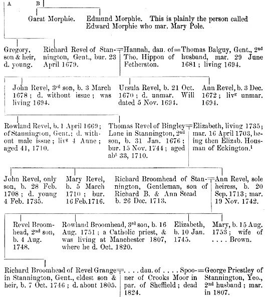 Pedigree of Revel